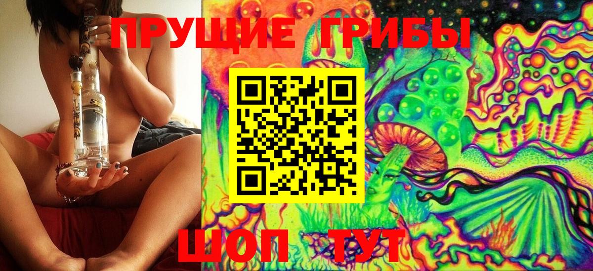 Галлюциногенные грибы Psilocybine cubensis Губаха